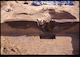 FileNo.S098-004.jpg