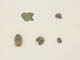 FileNo.099-197.jpg