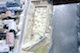 FileNo.099-S102.jpg
