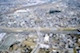FileNo.099-S116.jpg
