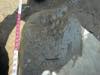 FileNo.099-p007.jpg