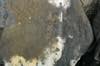 FileNo.099-p010.jpg