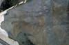 FileNo.099-p012.jpg