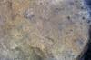FileNo.099-p014.jpg