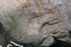 FileNo.099-p019.jpg