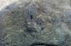 FileNo.099-p023.jpg