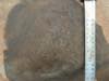 FileNo.099-p027.jpg
