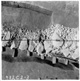 FileNo.KU-0512.jpg