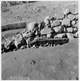 FileNo.KU-0519.jpg