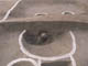 FileNo.100-024.jpg