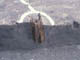 FileNo.100-032.jpg