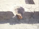 FileNo.100-034.jpg
