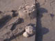 FileNo.100-051.jpg