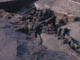 FileNo.100-056.jpg