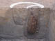 FileNo.100-085.jpg