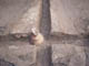 FileNo.100-094.jpg