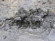 FileNo.100-118.jpg