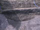 FileNo.101-007.jpg