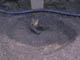 FileNo.101-010.jpg
