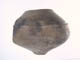 FileNo.101-021.jpg