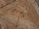 FileNo.102-006.jpg