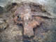 FileNo.102-023.jpg
