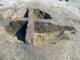 FileNo.102-024.jpg