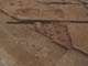 FileNo.102-028.jpg