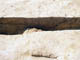 FileNo.102-029.jpg
