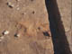 FileNo.102-036.jpg
