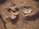 FileNo.102-038.jpg