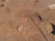FileNo.102-042.jpg