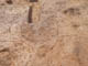 FileNo.102-046.jpg