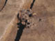 FileNo.102-048.jpg