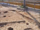 FileNo.102-050.jpg
