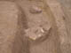 FileNo.102-052.jpg