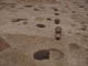 FileNo.102-071.jpg