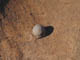 FileNo.102-077.jpg