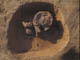 FileNo.102-081.jpg