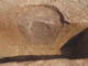 FileNo.102-082.jpg