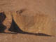 FileNo.102-083.jpg