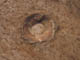 FileNo.102-086.jpg