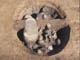 FileNo.102-089.jpg