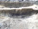 FileNo.103-005.jpg