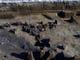 FileNo.103-008.jpg