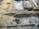 FileNo.103-009.jpg