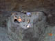 FileNo.103-011.jpg