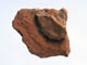 FileNo.103-064.jpg