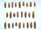FileNo.103-073.jpg