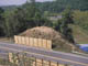 FileNo.104b-003.jpg